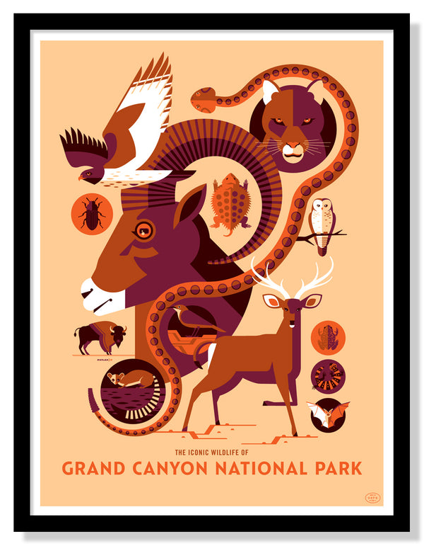 Iconic Wildlife of Grand Canyon National Park Poster (Large Timed Edition)