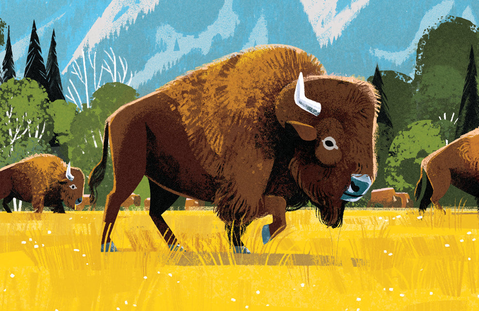 Grand Teton National Park Poster (Bison)