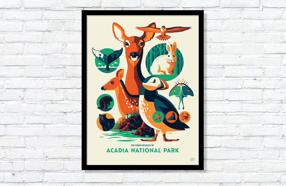 Iconic Wildlife of Acadia National Park Poster