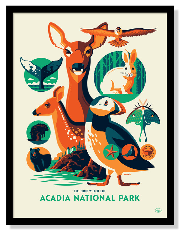 Iconic Wildlife of Acadia National Park Poster
