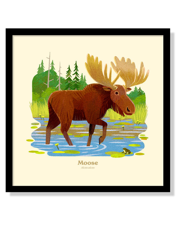 Moose National Park Alphabet Print