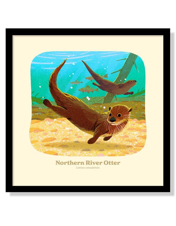 Northern River Otter National Park Alphabet Print