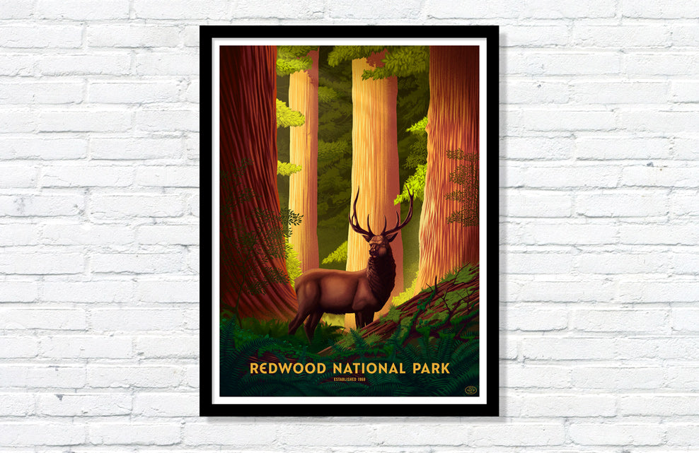 Redwood National Park Poster (Large Timed Edition)